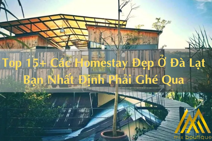 Top 15+ Các Homestay Đẹp Ở Đà Lạt Bạn Nhất Định Phải Ghé Qua