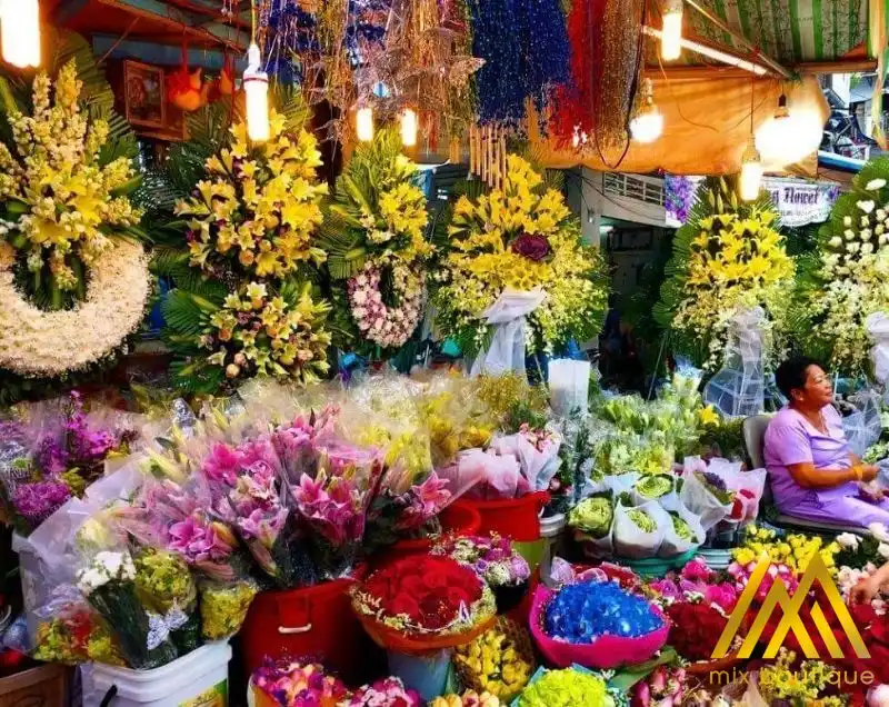 tết đi đâu chơi