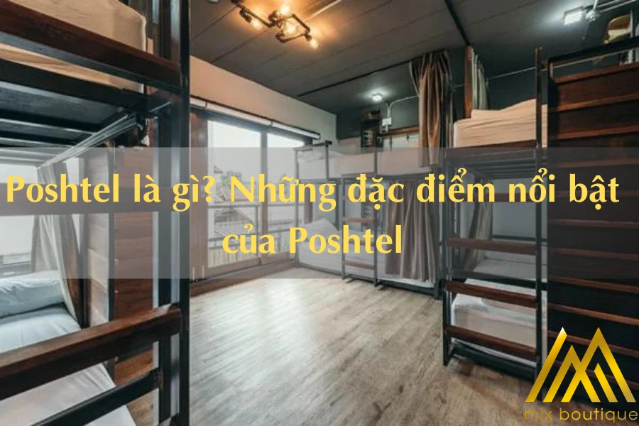 Poshtel Là Gì? Những Đặc Điểm Nổi Bật Của Poshtel