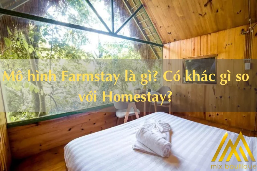 Mô Hình Farmstay Là Gì? Có Khác Gì So Với Homestay