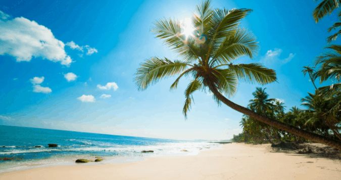 #Top 5+ Khách SạnTình Yêu Bãi Sao Phú Quốc Đáng Thử 1 Lần
