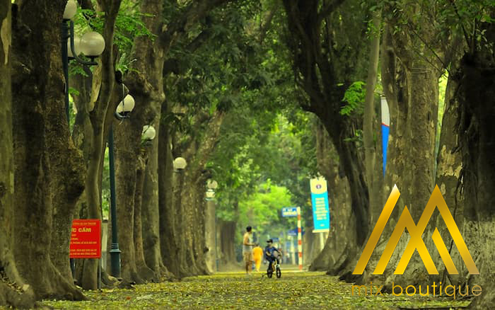 #Những địa điểm hẹn hò Hà Nội lãng mạn ngày 8/3 cho các cặp đôi
